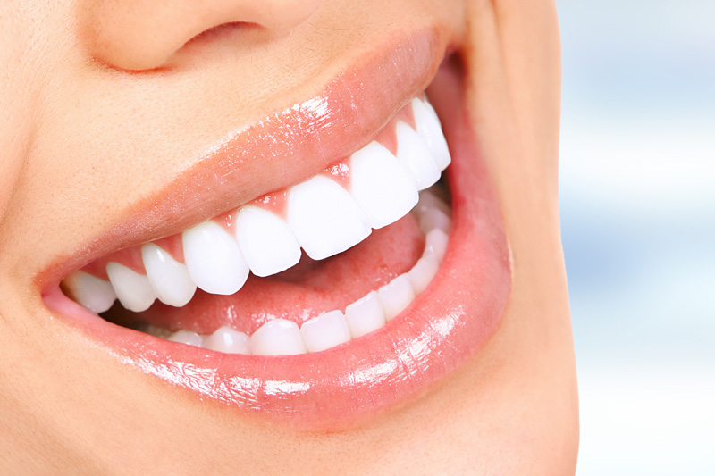 Adult Orthodontics Services in Norwalk